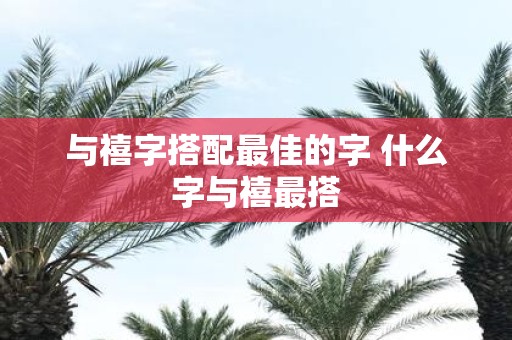 与禧字搭配最佳的字 什么字与禧最搭