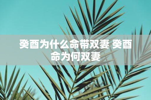 癸酉为什么命带双妻 癸酉命为何双妻