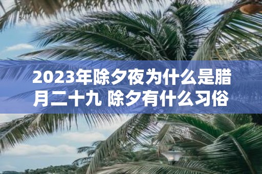 2025年除夕夜为什么是腊月二十九 除夕有什么习俗