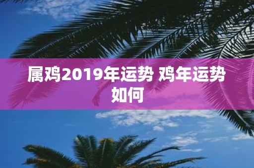 属鸡2019年运势 鸡年运势如何