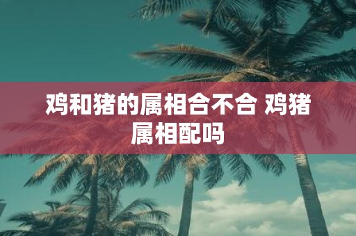 鸡和猪的属相合不合 鸡猪属相配吗
