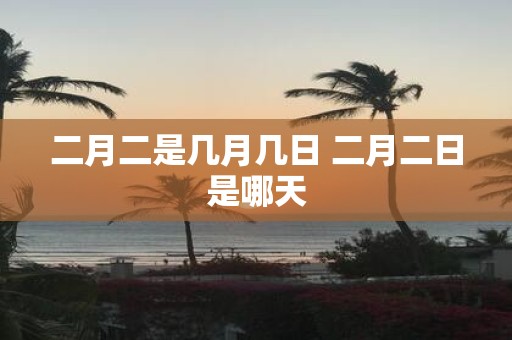二月二是几月几日 二月二日是哪天