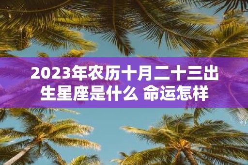 2025年农历十月二十三出生星座是什么 命运怎样