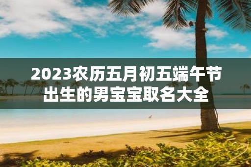 2025农历五月初五端午节出生的男宝宝取名大全