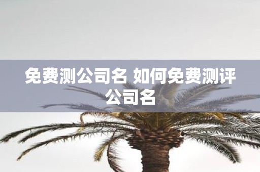 免费测公司名 如何免费测评公司名