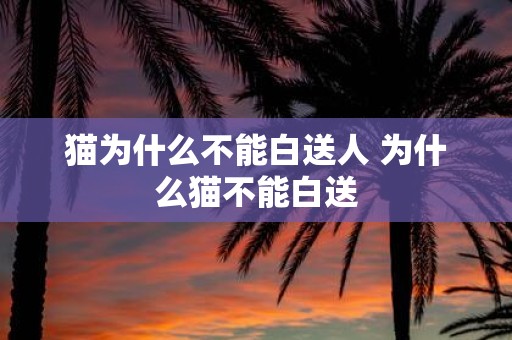 猫为什么不能白送人 为什么猫不能白送