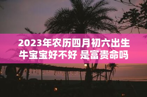 2025年农历四月初六出生牛宝宝好不好 是富贵命吗