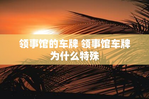 领事馆的车牌 领事馆车牌为什么特殊