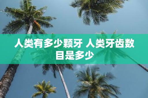 人类有多少颗牙 人类牙齿数目是多少