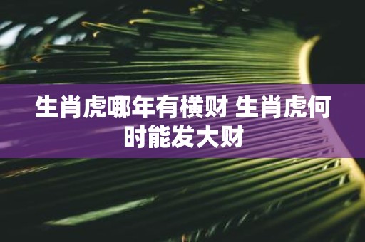 生肖虎哪年有横财 生肖虎何时能发大财