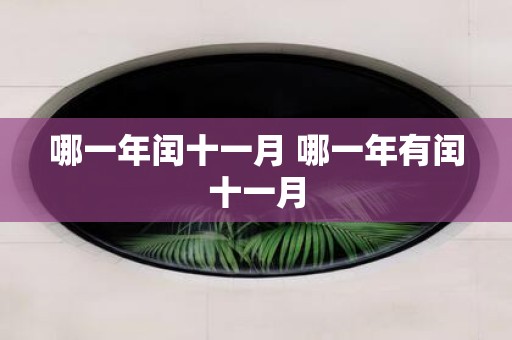 哪一年闰十一月 哪一年有闰十一月