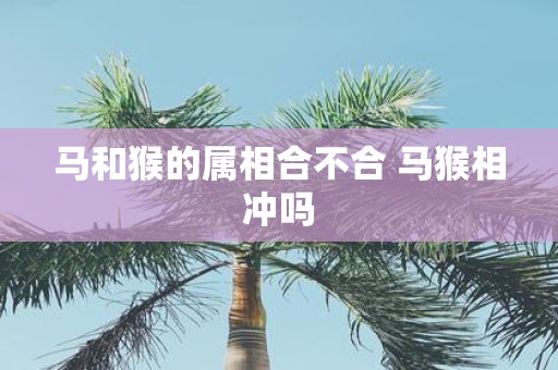马和猴的属相合不合 马猴相冲吗