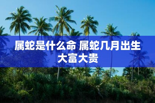 属蛇是什么命 属蛇几月出生大富大贵