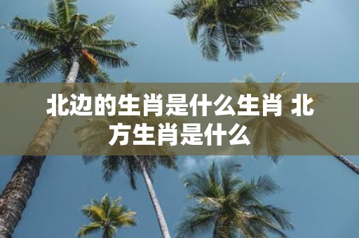北边的生肖是什么生肖 北方生肖是什么