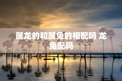 属龙的和属兔的相配吗 龙兔配吗