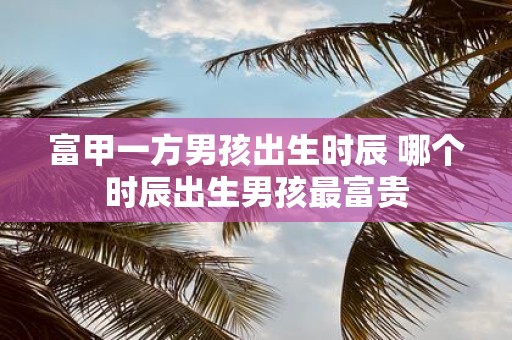 富甲一方男孩出生时辰 哪个时辰出生男孩最富贵