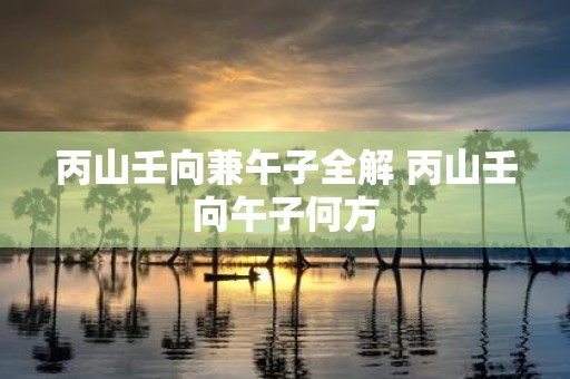 丙山壬向兼午子全解 丙山壬向午子何方