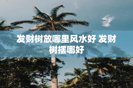 发财树放哪里风水好 发财树摆哪好