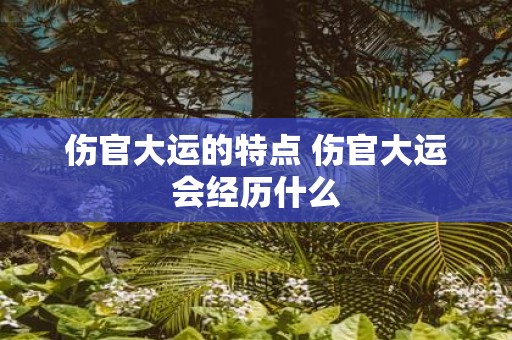 伤官大运的特点 伤官大运会经历什么