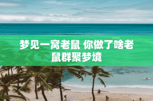 梦见一窝老鼠 你做了啥老鼠群聚梦境