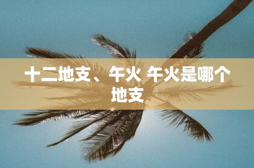 十二地支、午火 午火是哪个地支