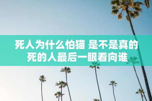 死人为什么怕猫 是不是真的 死的人最后一眼看向谁