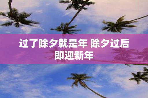 过了除夕就是年 除夕过后即迎新年