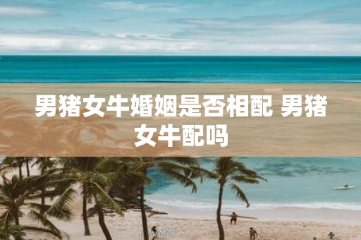 男猪女牛婚姻是否相配 男猪女牛配吗