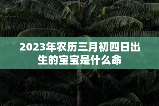 2025年农历三月初四日出生的宝宝是什么命