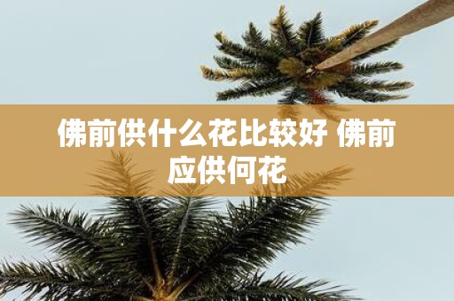 佛前供什么花比较好 佛前应供何花