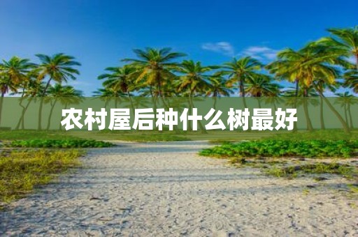 农村屋后种什么树最好