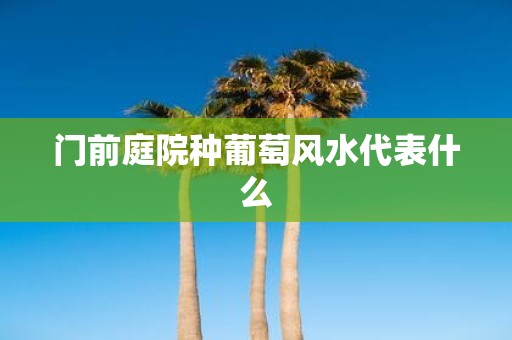 门前庭院种葡萄风水代表什么