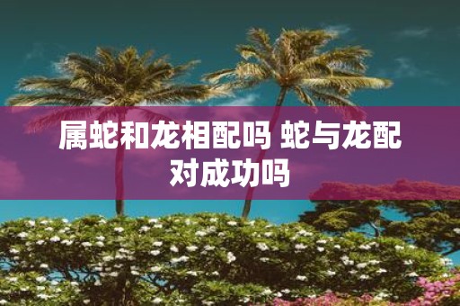 属蛇和龙相配吗 蛇与龙配对成功吗