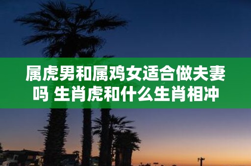 属虎男和属鸡女适合做夫妻吗 生肖虎和什么生肖相冲