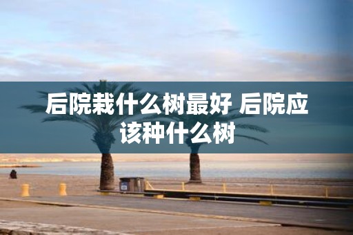 后院栽什么树最好 后院应该种什么树