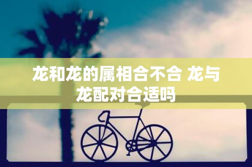 龙和龙的属相合不合 龙与龙配对合适吗