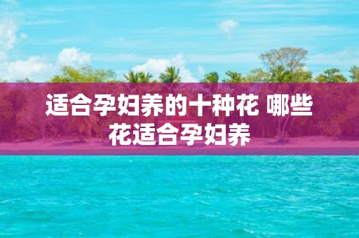 适合孕妇养的十种花 哪些花适合孕妇养