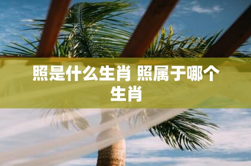 照是什么生肖 照属于哪个生肖