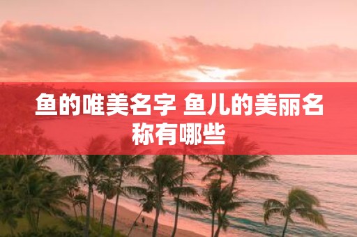 鱼的唯美名字 鱼儿的美丽名称有哪些