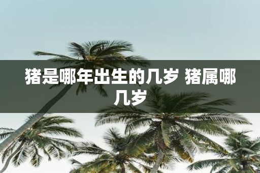 猪是哪年出生的几岁 猪属哪几岁