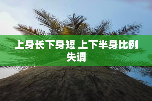 上身长下身短 上下半身比例失调