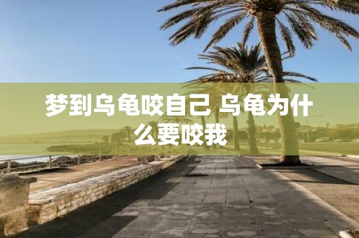 梦到乌龟咬自己 乌龟为什么要咬我