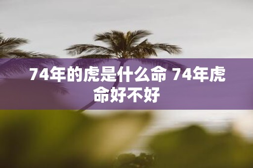 74年的虎是什么命 74年虎命好不好