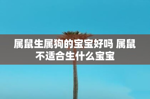 属鼠生属狗的宝宝好吗 属鼠不适合生什么宝宝