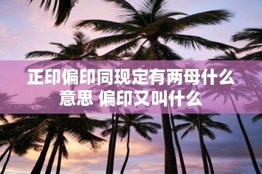 正印偏印同现定有两母什么意思 偏印又叫什么