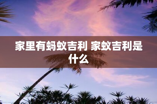 家里有蚂蚁吉利 家蚁吉利是什么
