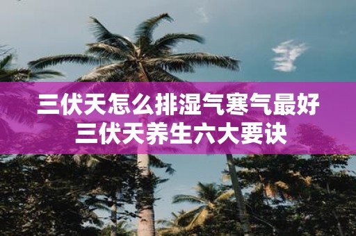 三伏天怎么排湿气寒气最好 三伏天养生六大要诀