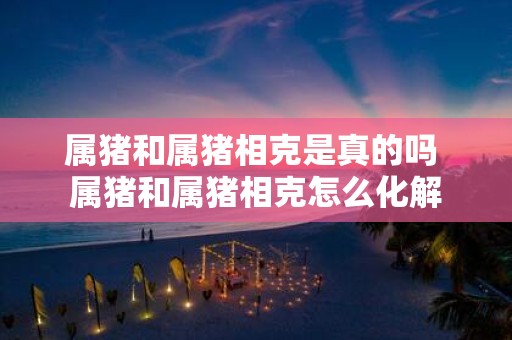 属猪和属猪相克是真的吗 属猪和属猪相克怎么化解