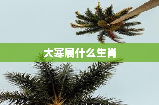 大寒属什么生肖