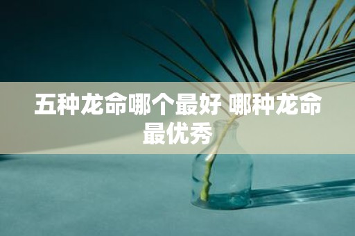 五种龙命哪个最好 哪种龙命最优秀
